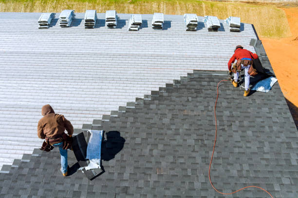 Best Roof Gutter Cleaning  in Ironton, MO